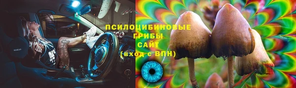 2c-b Вяземский